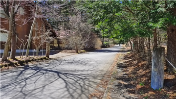 前面道路(西側を望む)