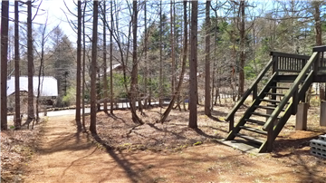 敷地内(南側を撮影)