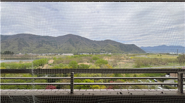 バルコニーからの眺望（東側を撮影）