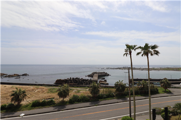 バルコニーからの眺望（南西方向を撮影）