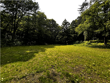 夏の敷地内（西側を撮影）