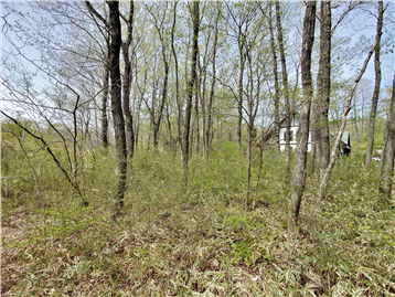 敷地内南側より北方向