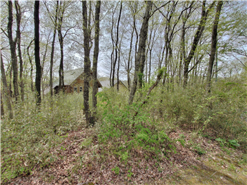 敷地内東側より西方向