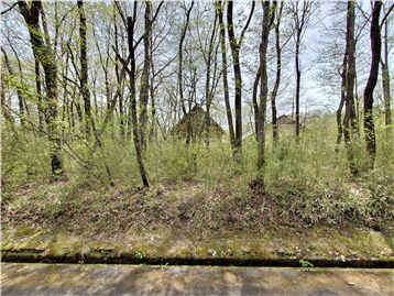 北東側接面道路より敷地内南西方向