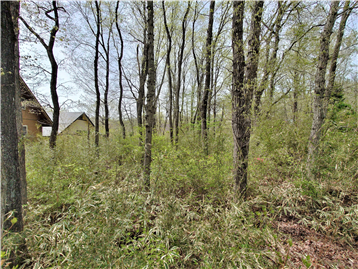 敷地内南東側より北西方向