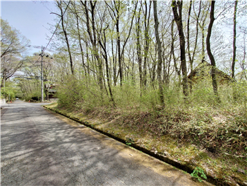 接面道路の北側より敷地内南方向