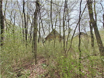 敷地内北東側より南西方向