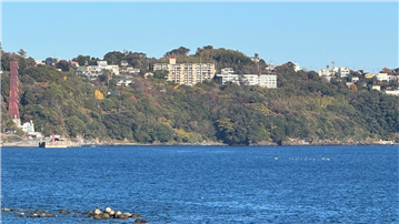 マンション外観／西側海上より撮影