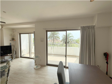 リビングからの眺め