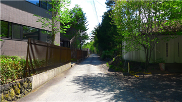 東側道路（南方向を撮影）