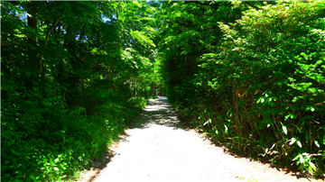 前面道路（北西方向を撮影）