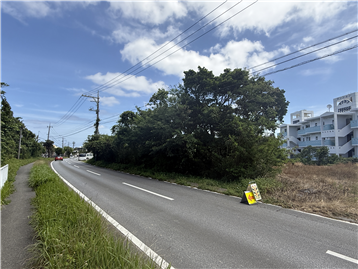 敷地と前面道路／南側から撮影