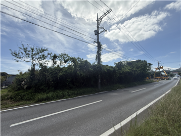 敷地と前面道路／西側から撮影