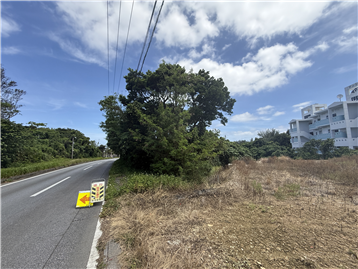 敷地／南側から北方向を撮影