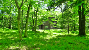 1276坪の敷地内（西側から撮影）