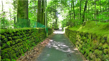 西側前面道路（南側方向を撮影）