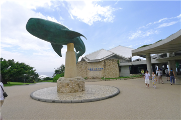 日本最大級の「美ら海水族館」まで車で約90分・約59.5㎞）