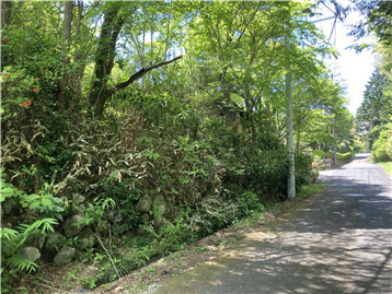 北西側接道から敷地(左側)を撮影／古家付