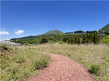 敷地内/北西側を撮影