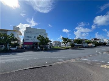 北西側道路越しに見る敷地(写真中央付近)