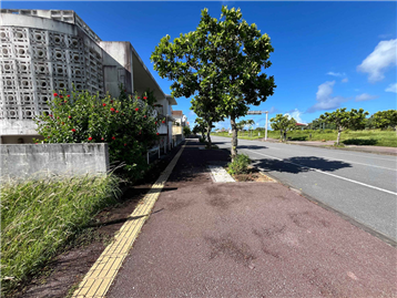 北西側歩道/南西方向を撮影