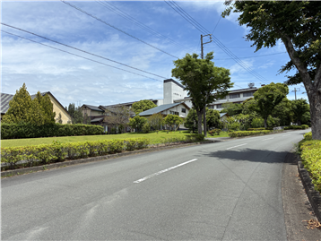 南側接道(西側から撮影)