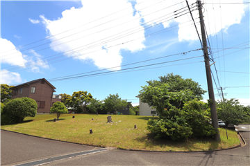 北方向から敷地を撮影