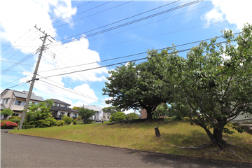 西側接道より北東方向を撮影