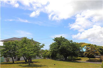 敷地から南方向を撮影