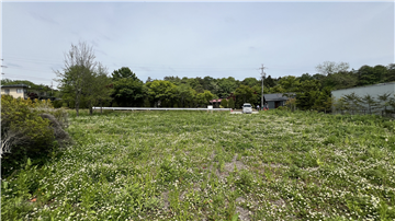 敷地内（西側より東方向を撮影）