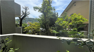 バルコニーより樹木が見えます