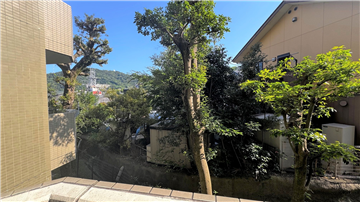 バルコニーより樹木が見えます