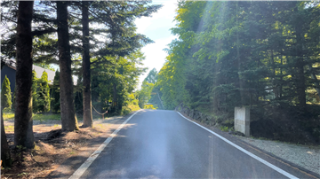 前面道路(西方向を撮影)