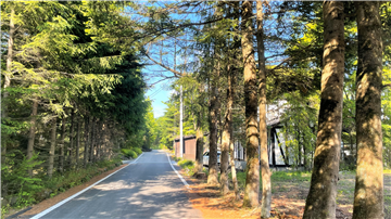 前面道路(北東方向を撮影)