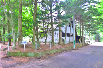 北側接道から南西方向を撮影(古家付)