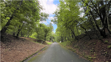 前面道路(北東方向を撮影)
