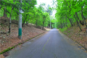 南東側接道(東方向を撮影)