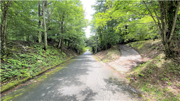 前面道路(南西方向を撮影)