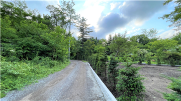 前面道路(西方向を撮影)