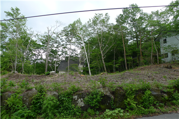 前面道路から南東方向を撮影