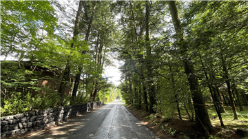 前面道路(南方向を撮影)