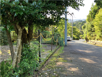 北東側接道から敷地(左側)を撮影