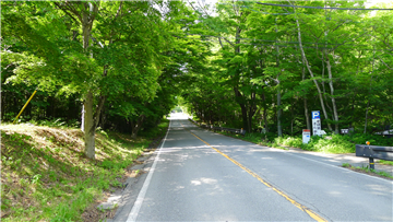 東側前面道路（北方向を撮影）