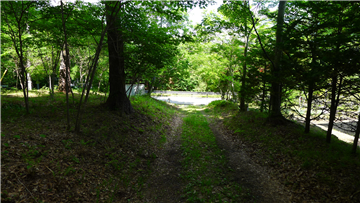南側前面道路(東方向を撮影)