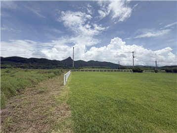 広大な敷地から野底マーペ―を望む~北側から南東側を撮影~