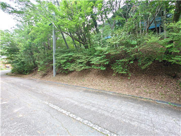 接面道路の東側より敷地内建物方向