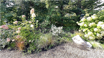 お庭の植栽