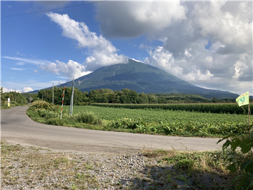 敷地東側角から羊蹄山を撮影