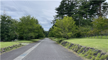 前面道路(南西方向を撮影)