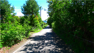 北東側前面道路(南東方向を撮影)